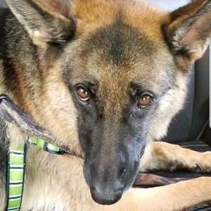 Meet your Posher, Bill deena